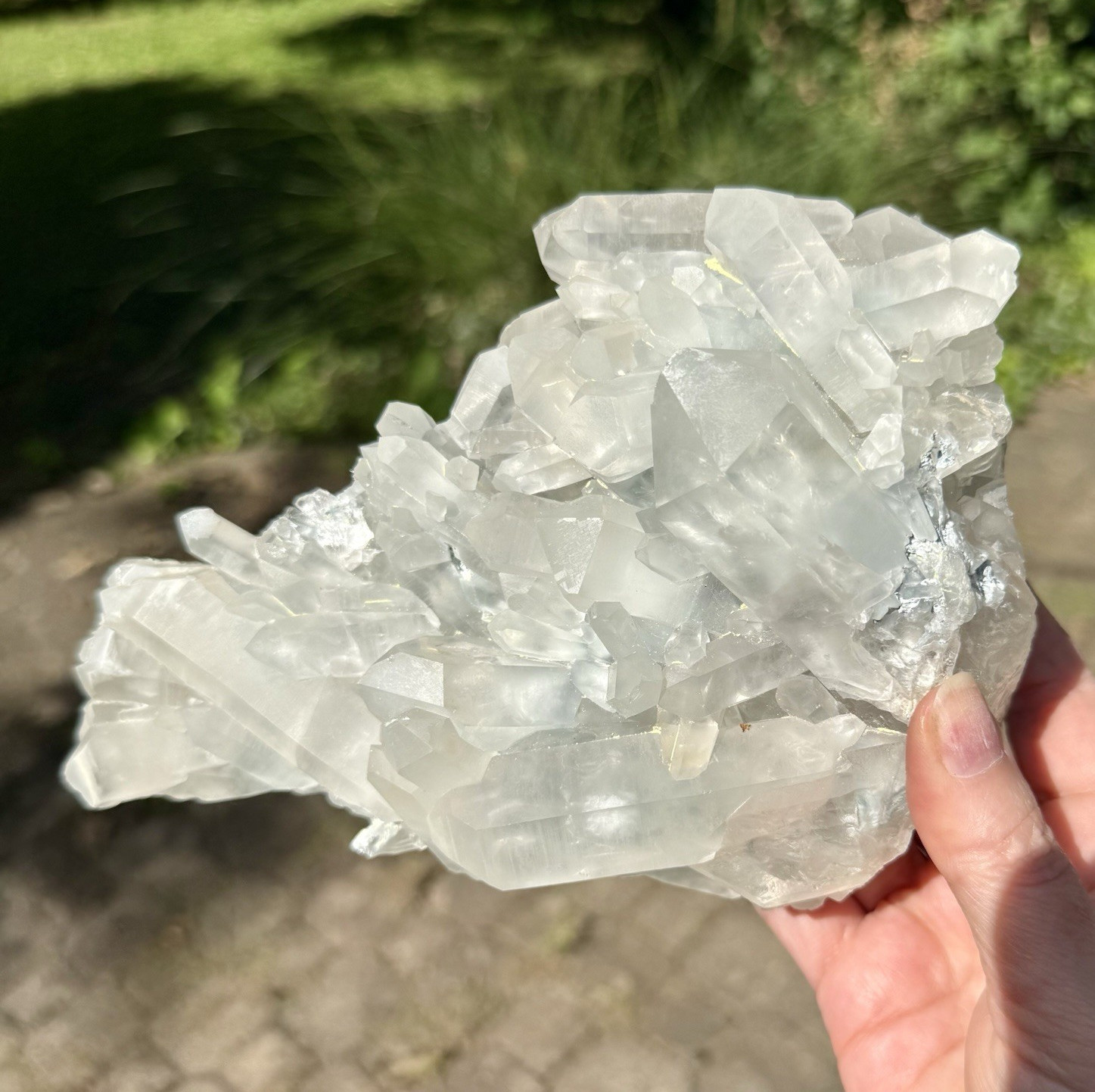 Large rare 7x5” Blue Tara Quartz Crystal Cluster Mineral Specimen