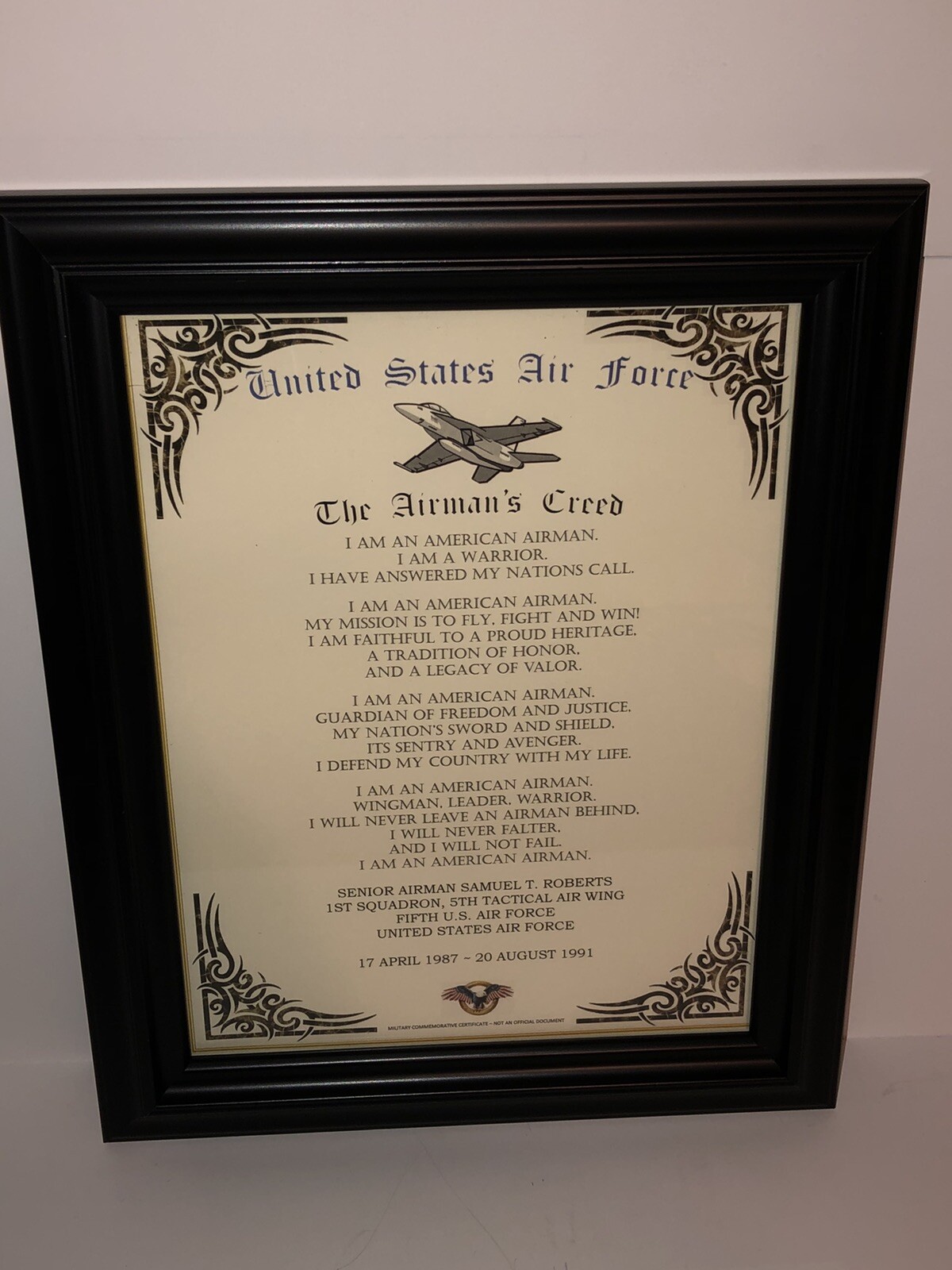 U.S. AIR FORCE ~ \'THE AIRMAN\'S CREED\' PRINT / w/Free Custom Printing