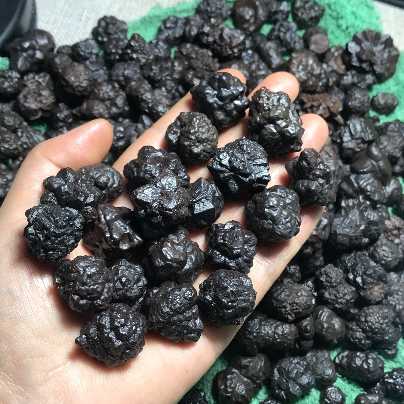 1000g 100PCS Egypt desert stone black king kong Pinecone Prophecy stone