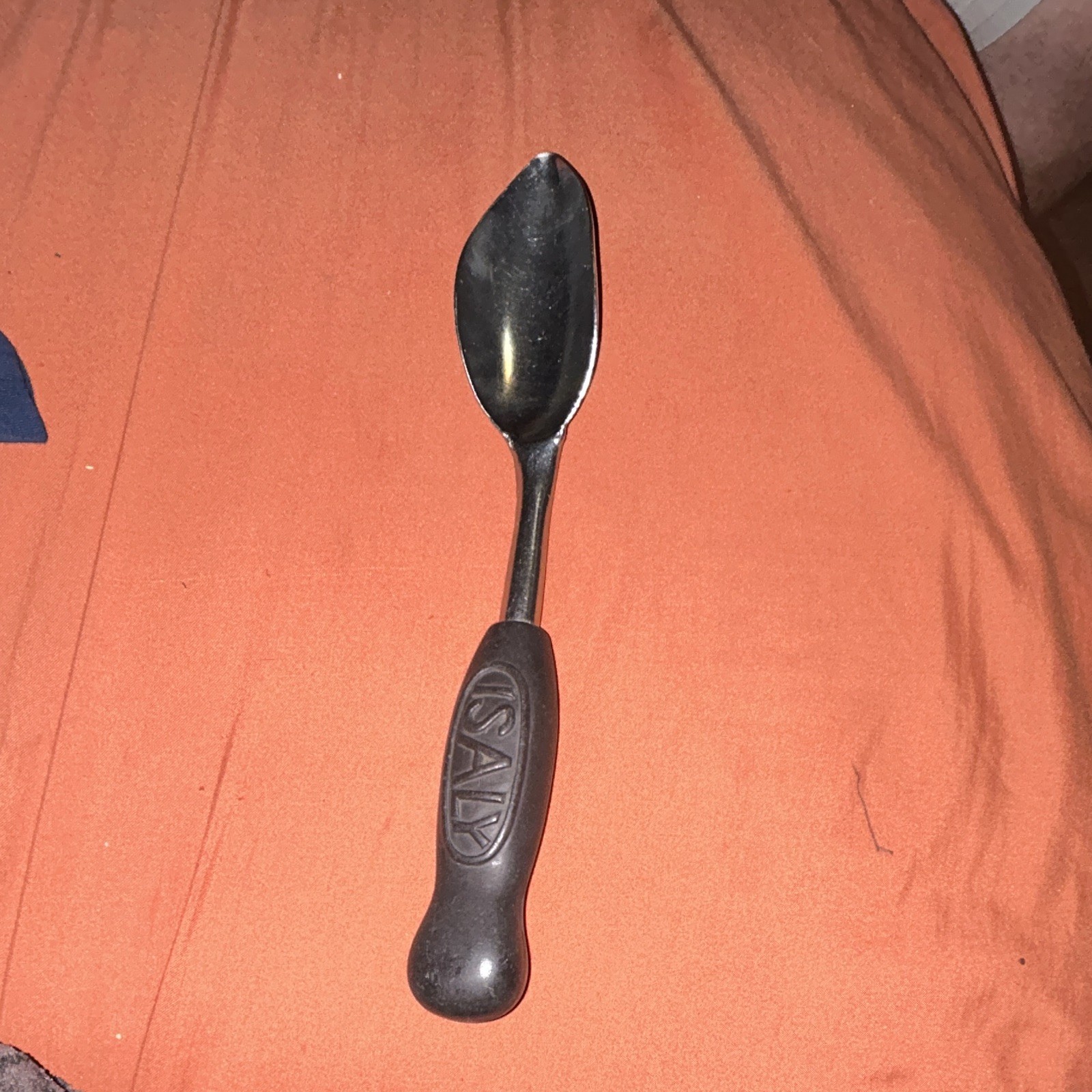Isaly's Vintage Rainbow Icecream Scoop Rare Collectible