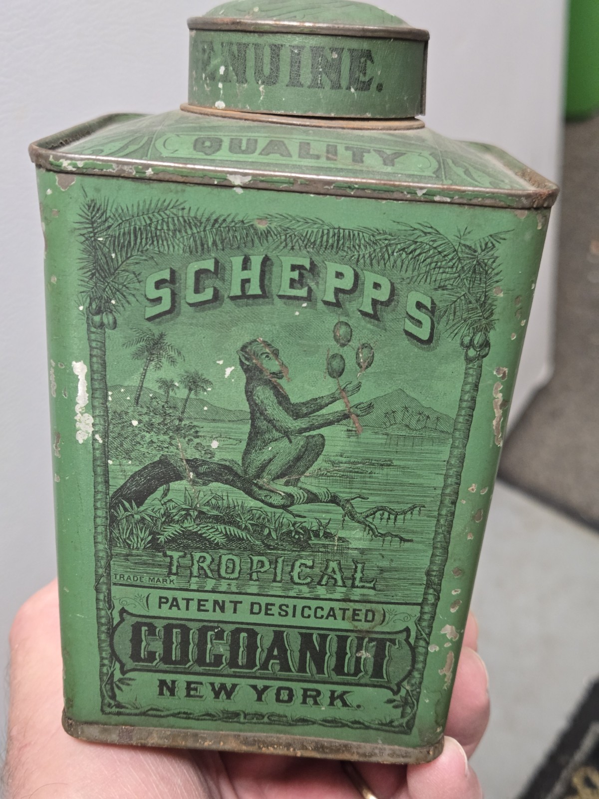 Antique 1870's Schepps Cocoanut Lithographed Green Spice Tin NY Monkey Graphics