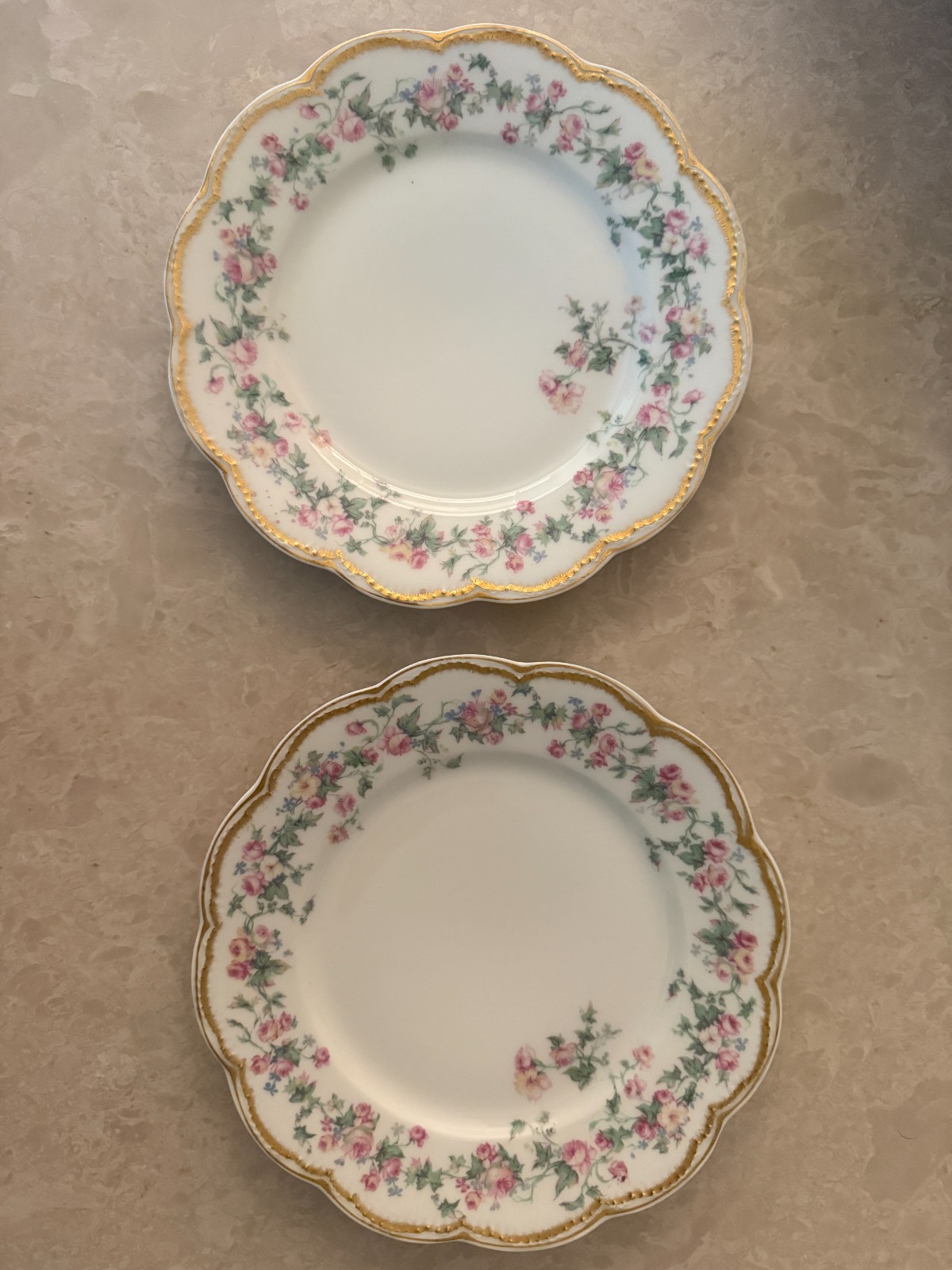 2 Antique Limoges France Elite Works Porcelain Plates