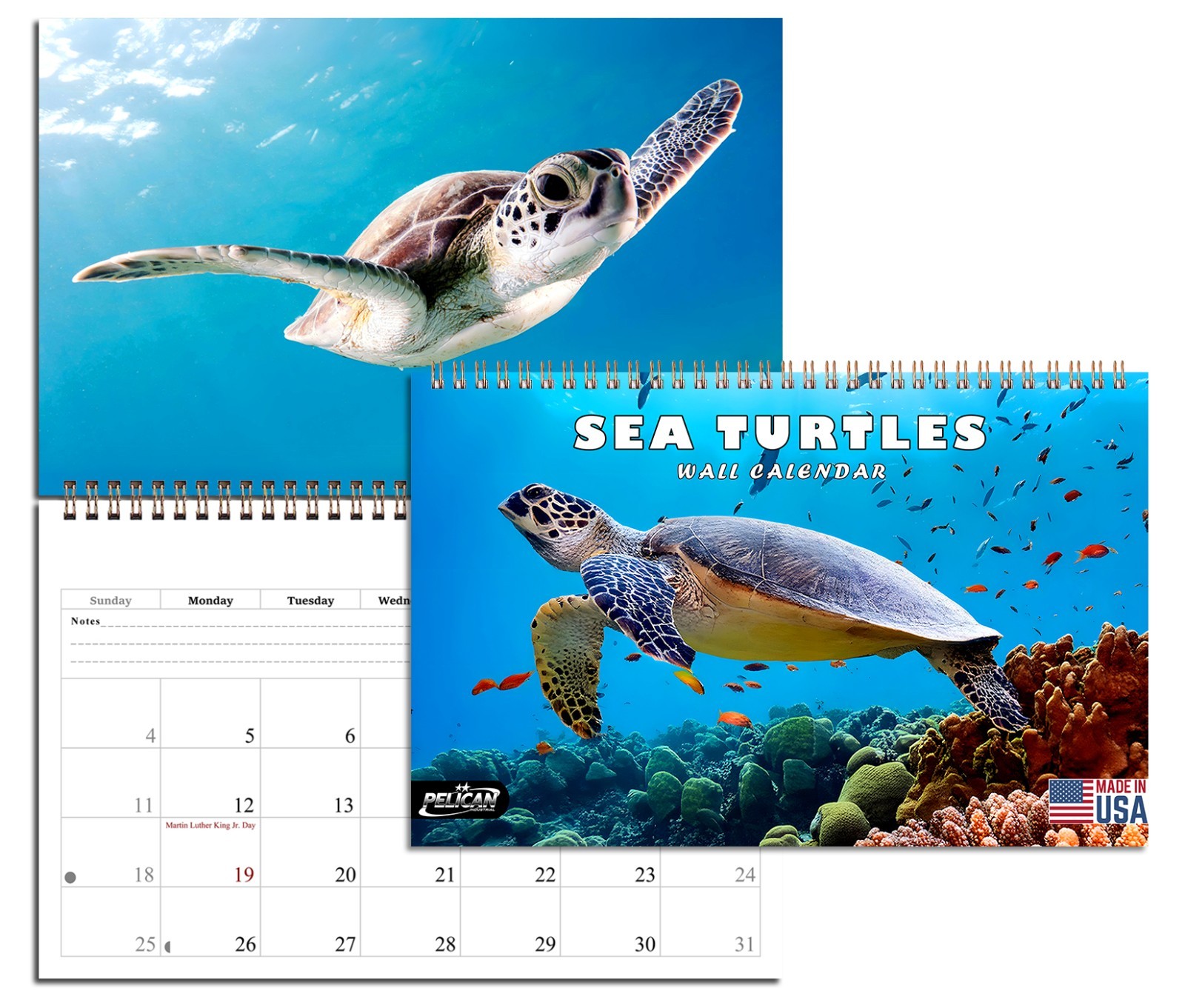 2027 Spiral-bound Wall Calendar (Sea Turtles) - 12 Months Desktop / Wall Calend