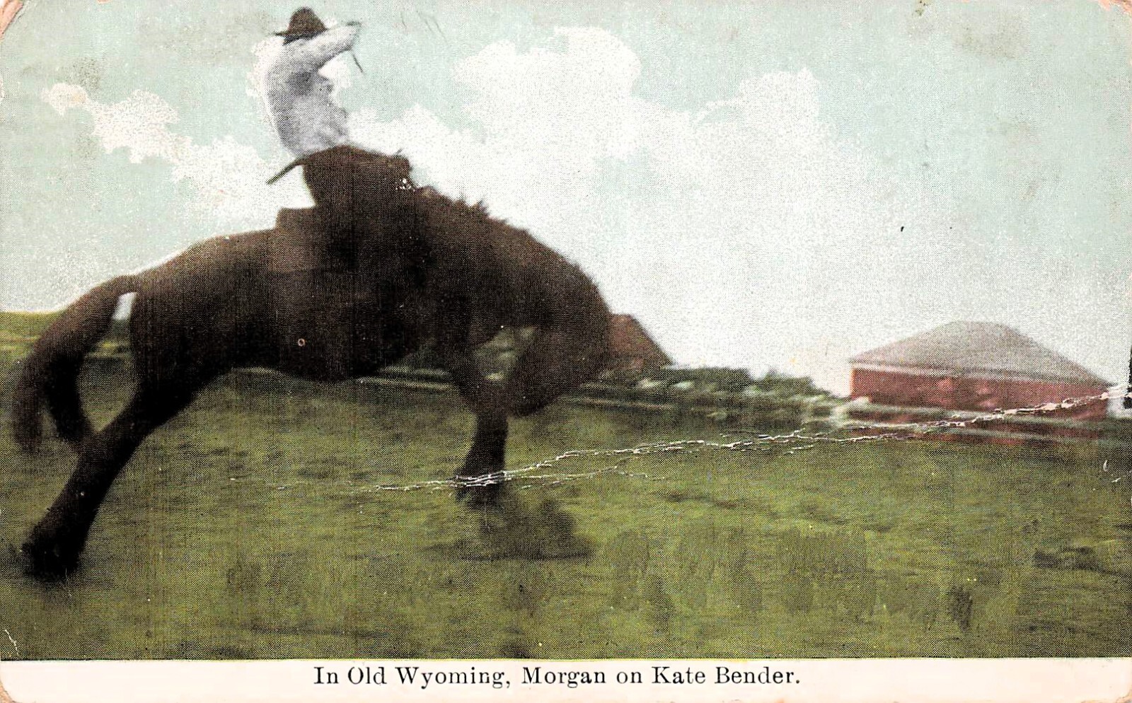 Wild West Old Wyoming Rodeo Cowboy Bucking Horse Kate Bender Vtg Postcard F54