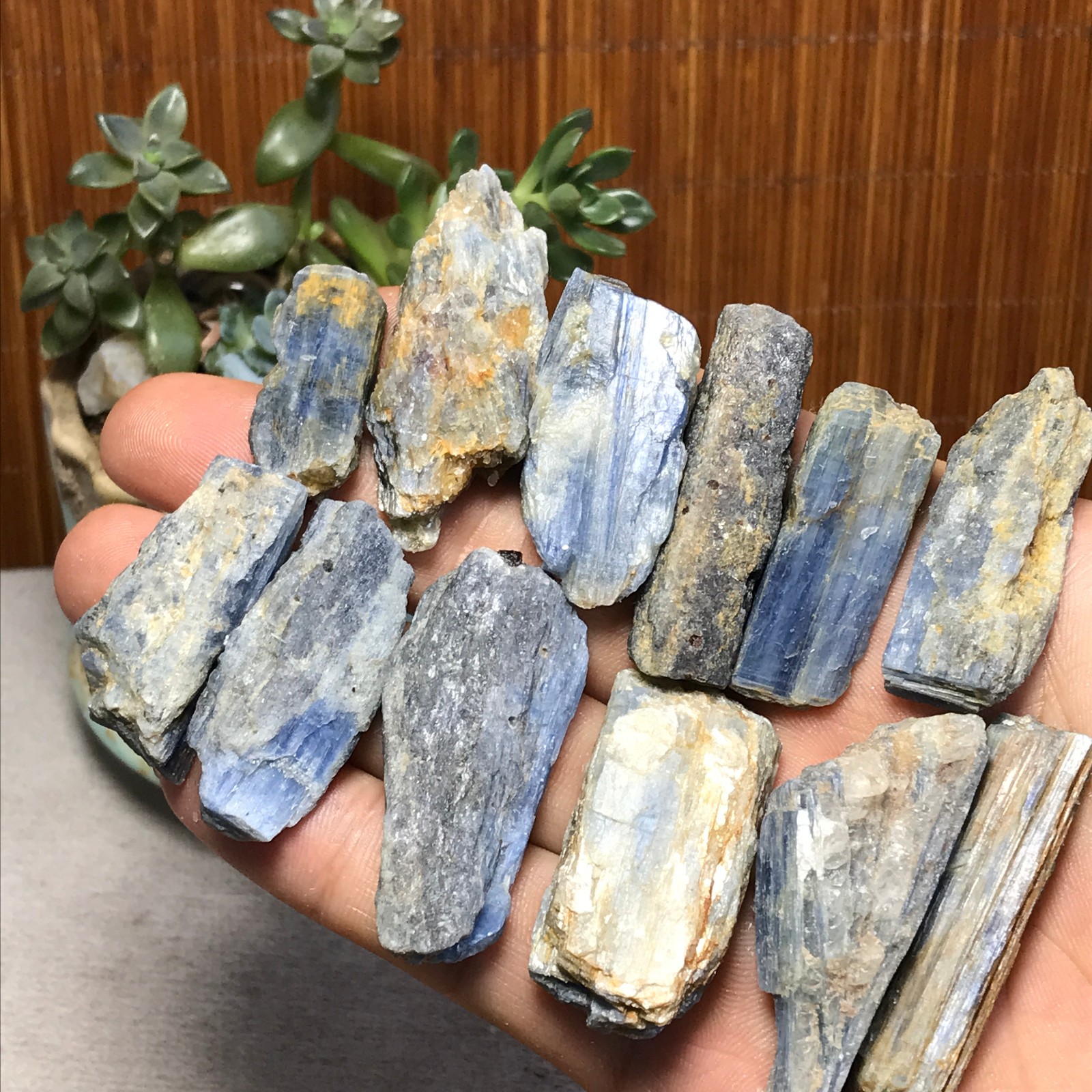 12Pcs NATURAL Blue Kyanite gemstone crystal rough mineral Specimen 141g A6927