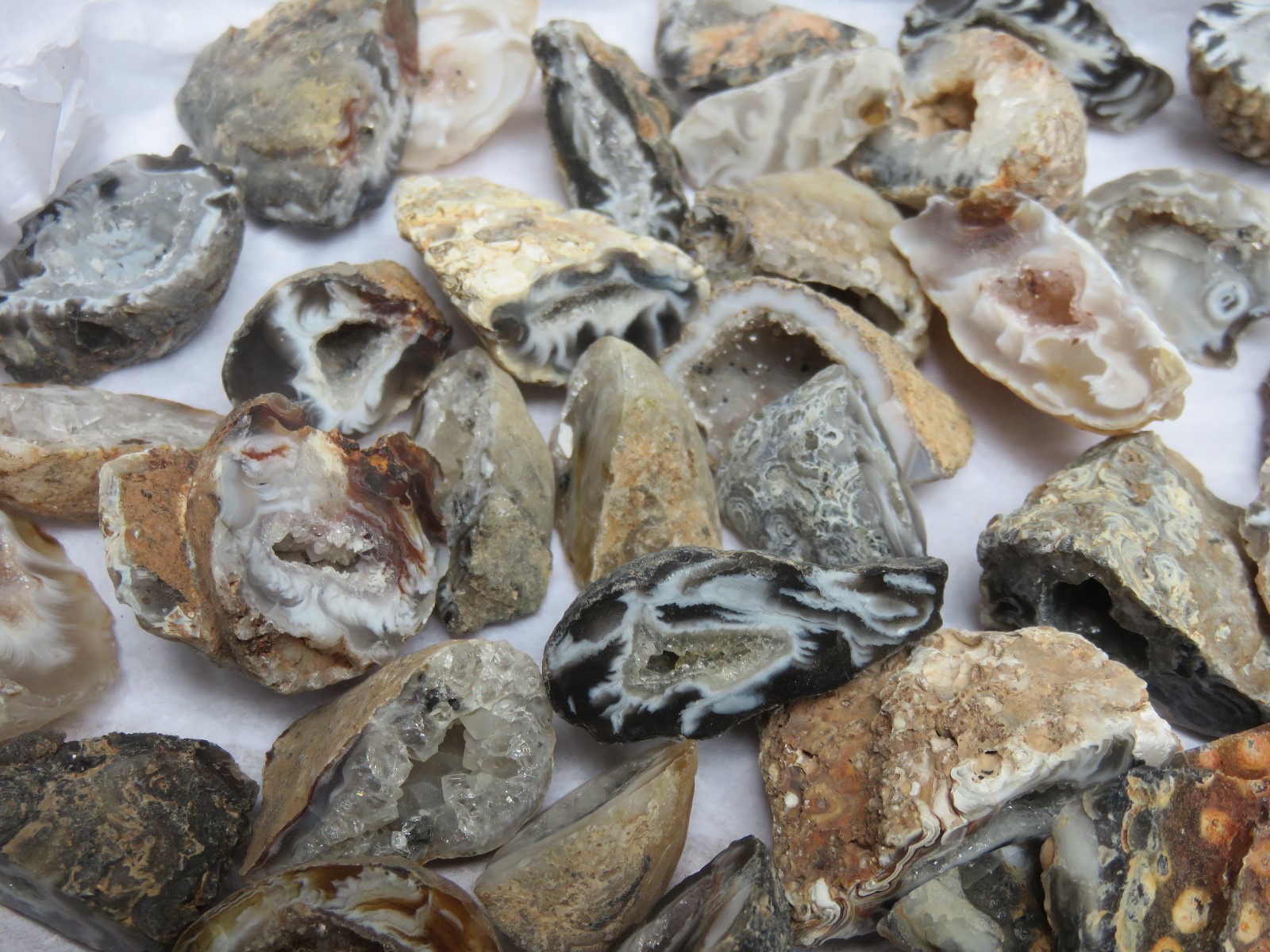 Natural Agate Oco 1 Lb Lots 50 Pieces Total Geodes Half Specimens Polished #7