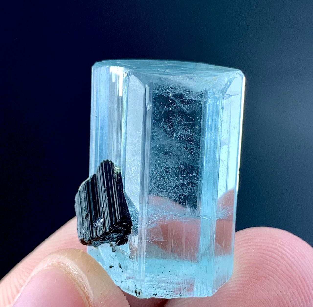 52 Carat  Aquamarine Crystal With Black Tourmaline Specimen From Pakistan 