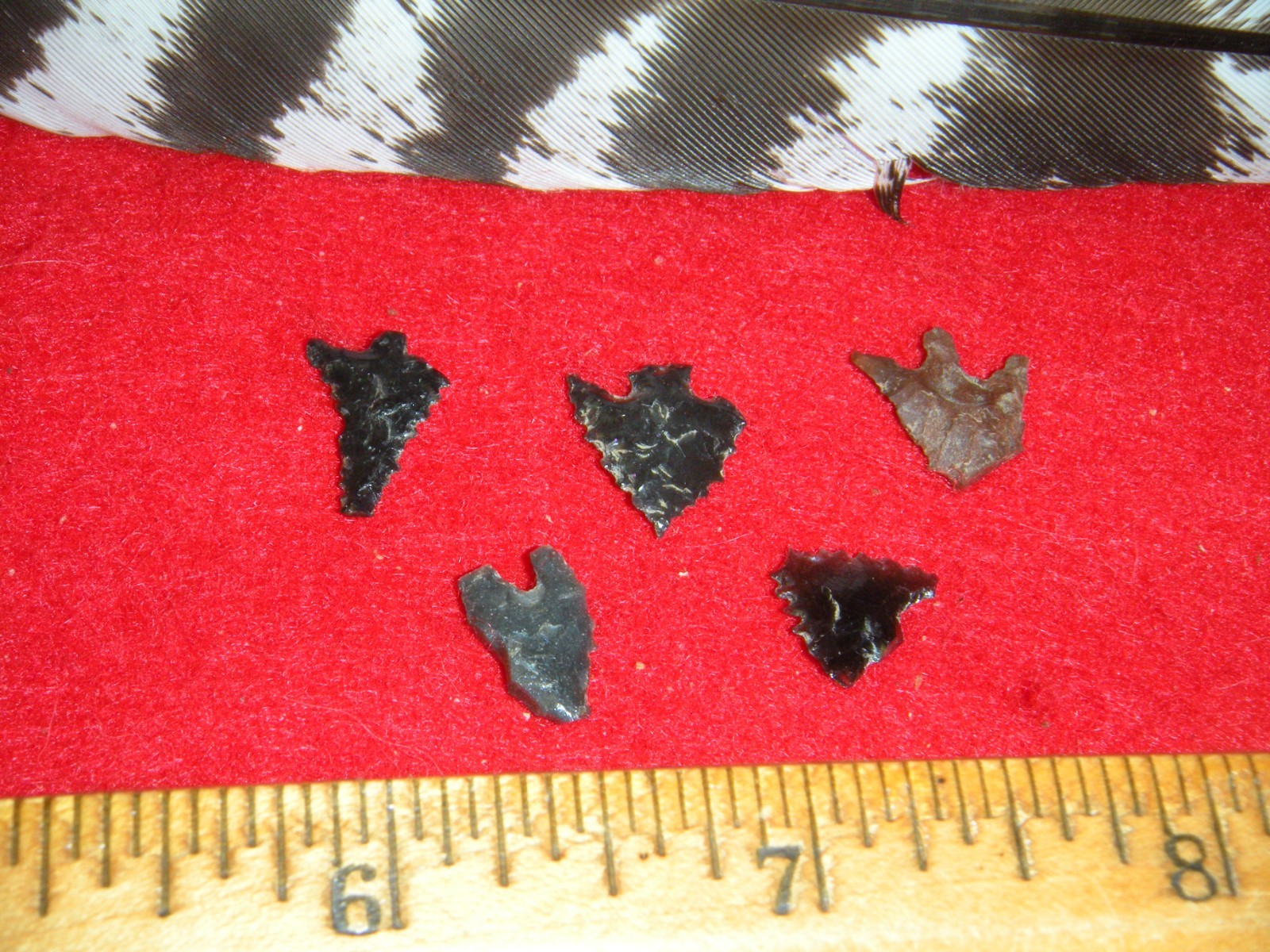 FIVE COLUMBIA RIVER TINY BIRD POINTS – PORTLAND OREGON COLLECTION - 5  ARTIFACTS