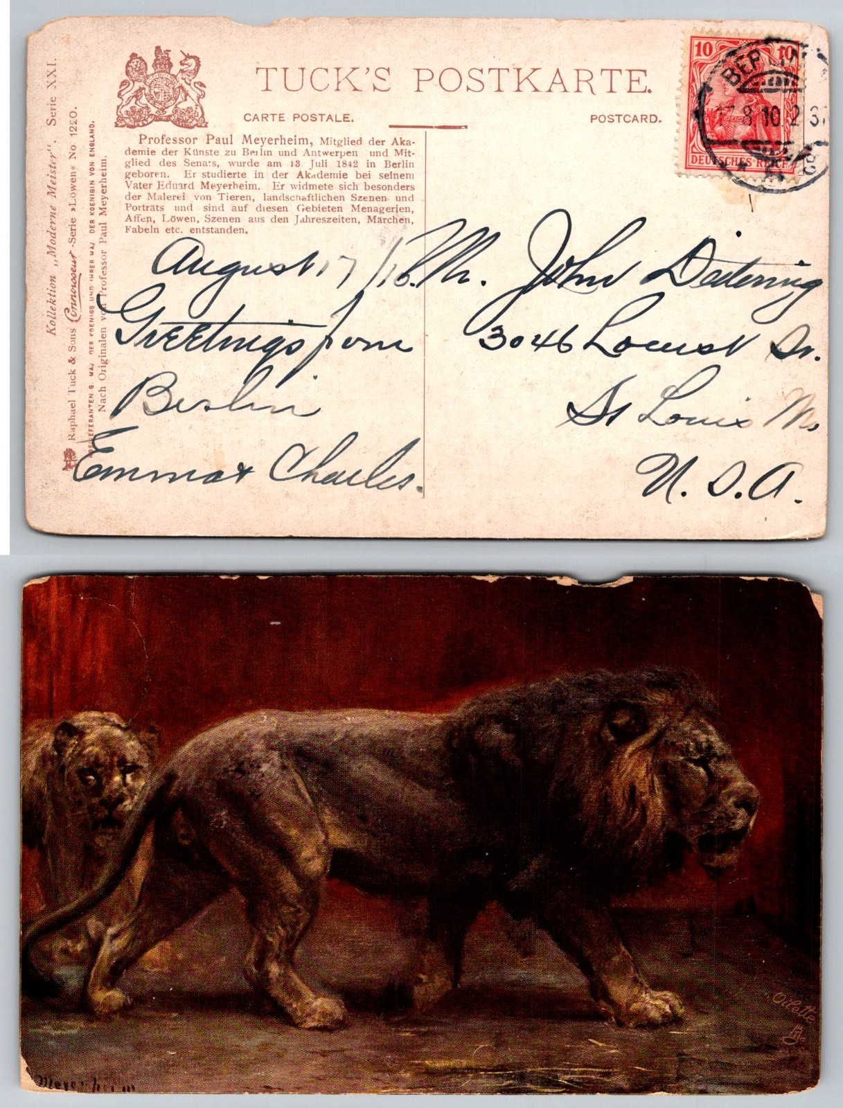 Standard Lions Painting Professor Paul Meyerheim Berlin Germany Postcard