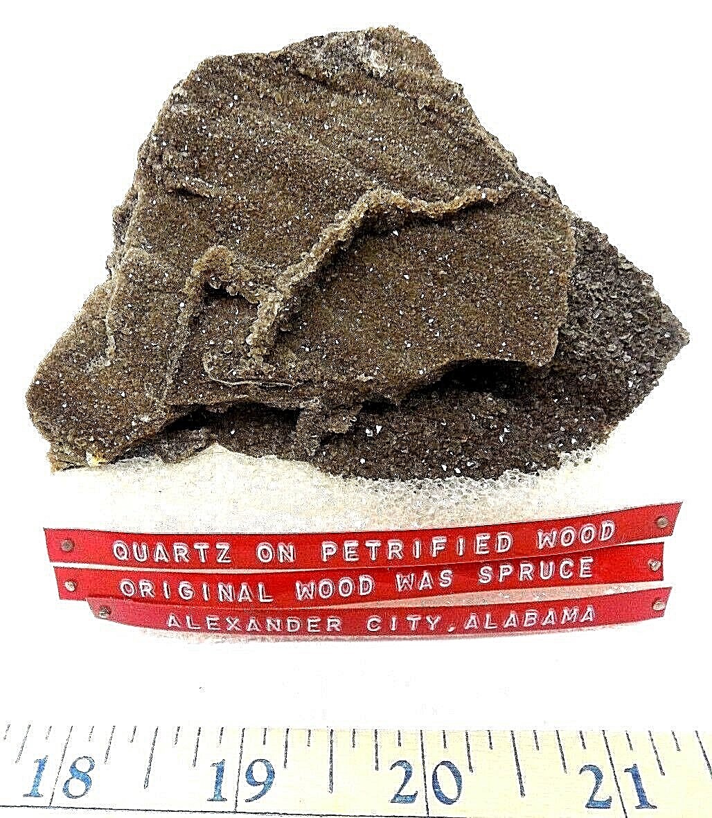 Exceptional Quartz druzy on Petrified wood Alabama  Alexander city spruce Flat 9