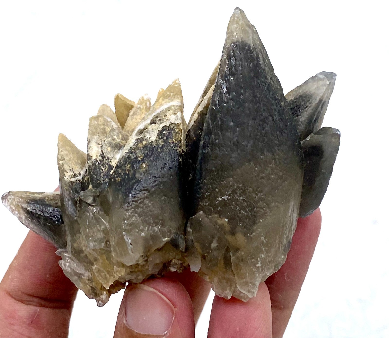 Natural Dogtooth Calcite Cluster – Natural Calcite Crystal Specimen | Rare Black