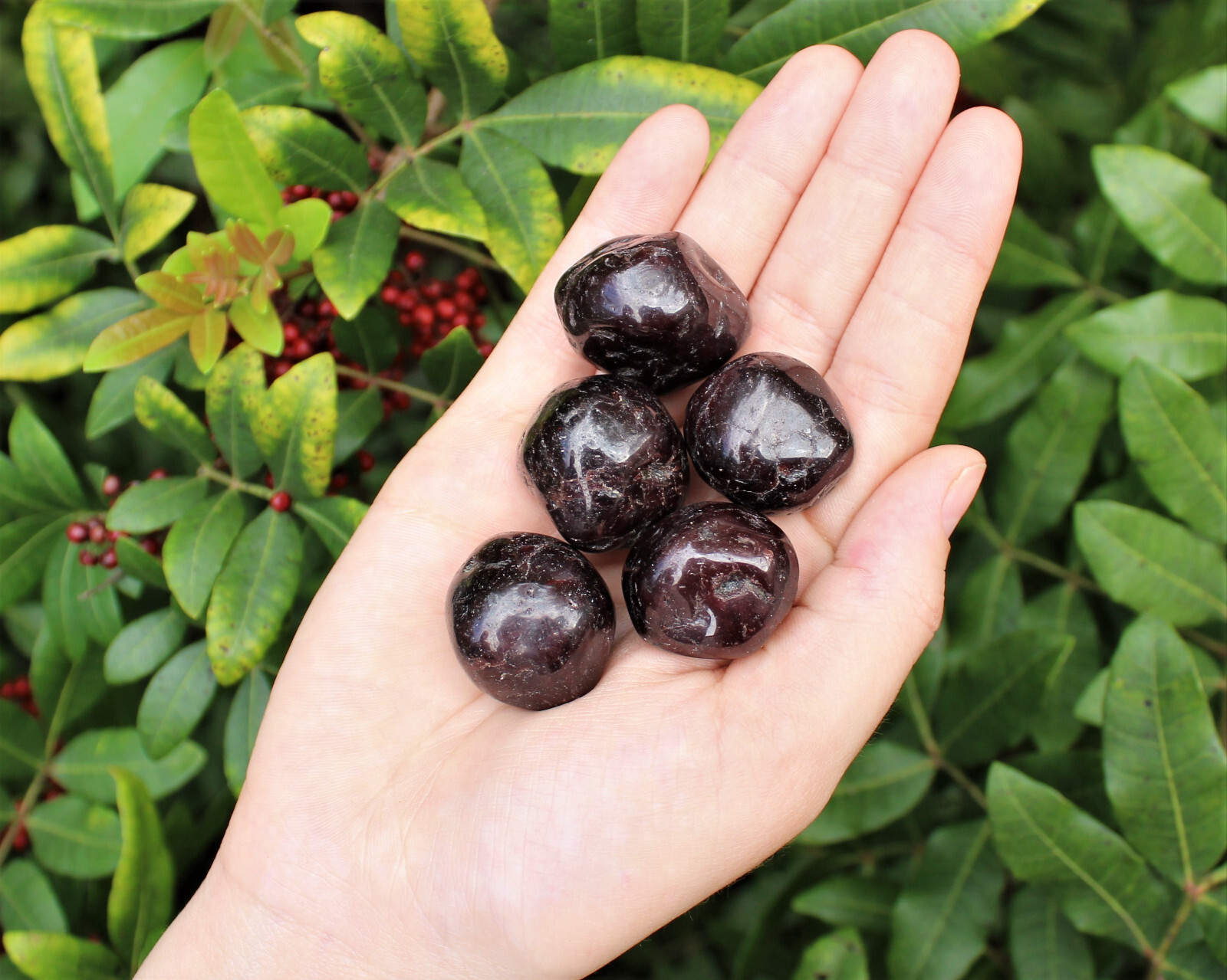 5 Garnet Tumbled Stones:  'A' Grade Natural Polished Crystals