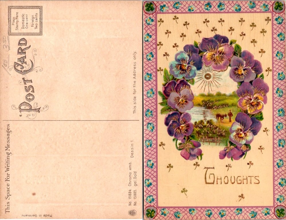 Vintage 1907 Postcard Pansies Flowers Lake Birds W. Gold Publishing