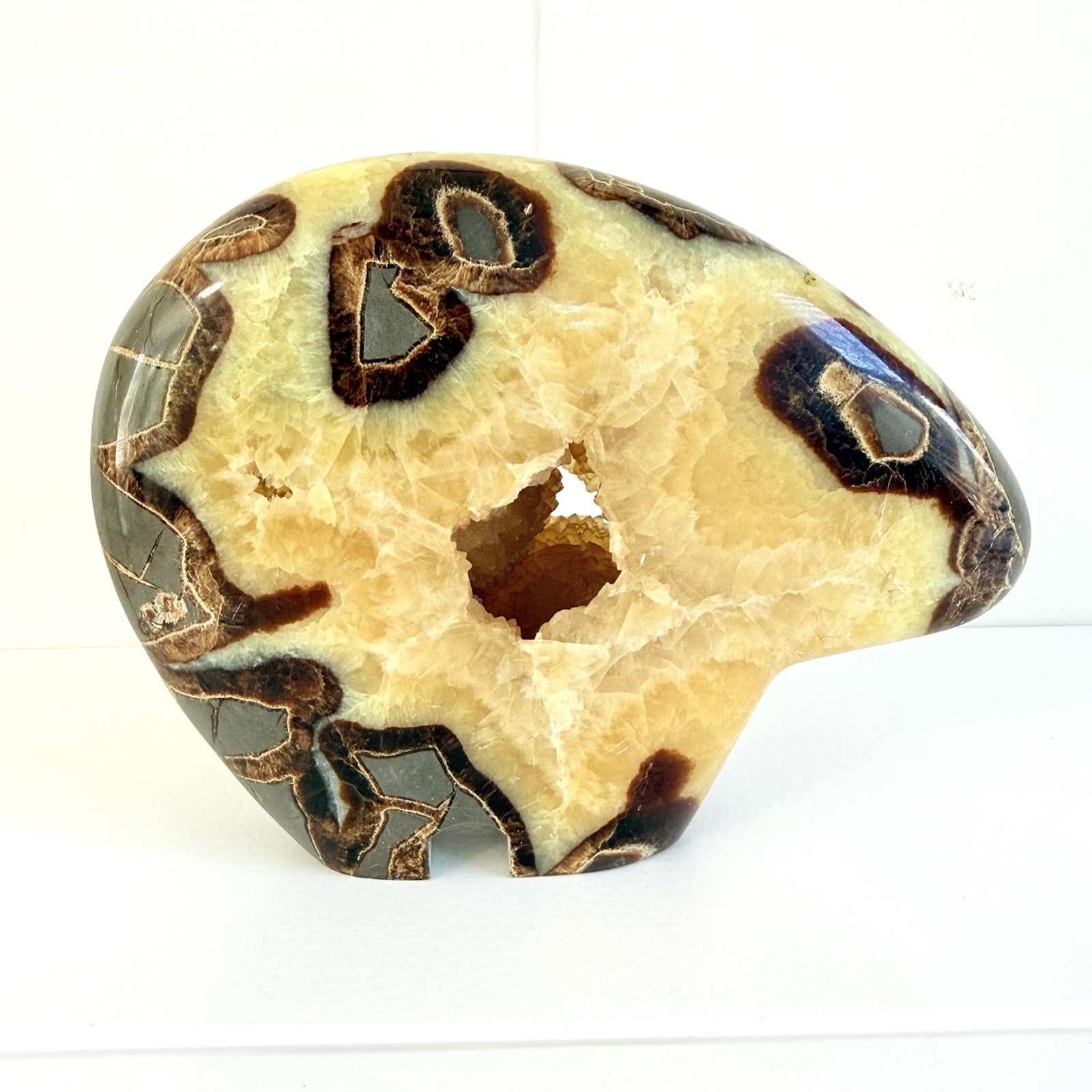 Septarian Nodule Bear Figure Large, 7 in, Fossil Remnant, Zuni Style Fetish Bear