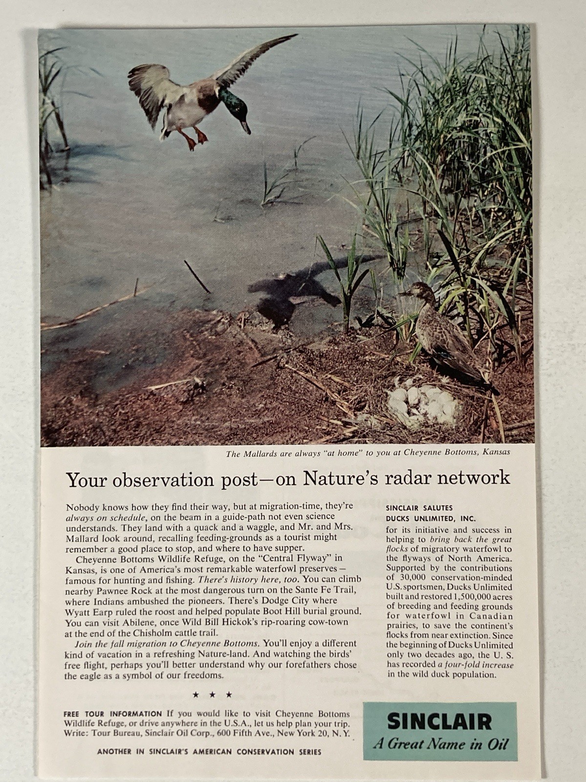 1958 Sinclair Motor Oil Print Ad Nature\'s Radar Network