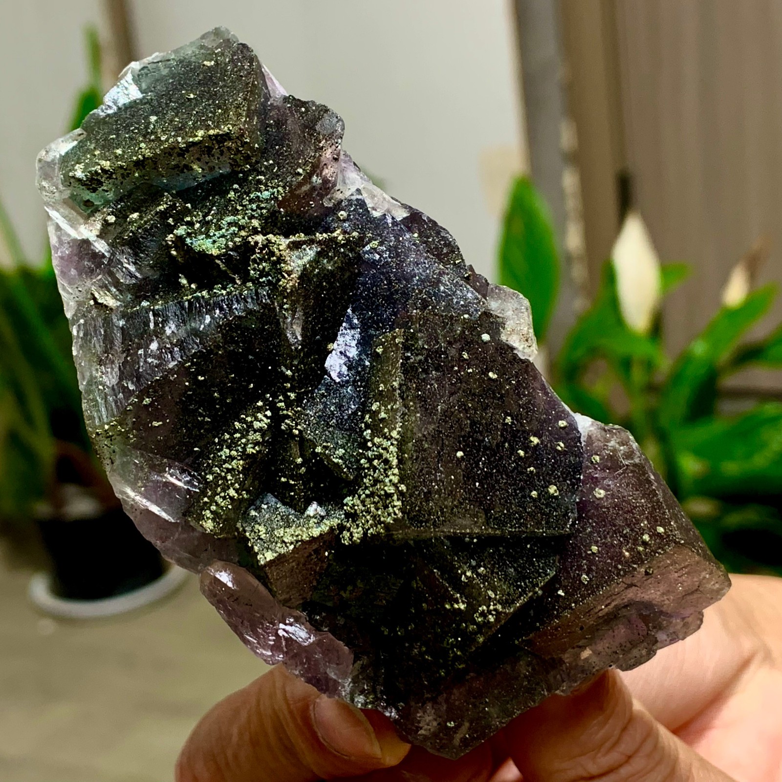 259G Natural green purple Fluorite with pyrite Mineral Crystal Specimen/China
