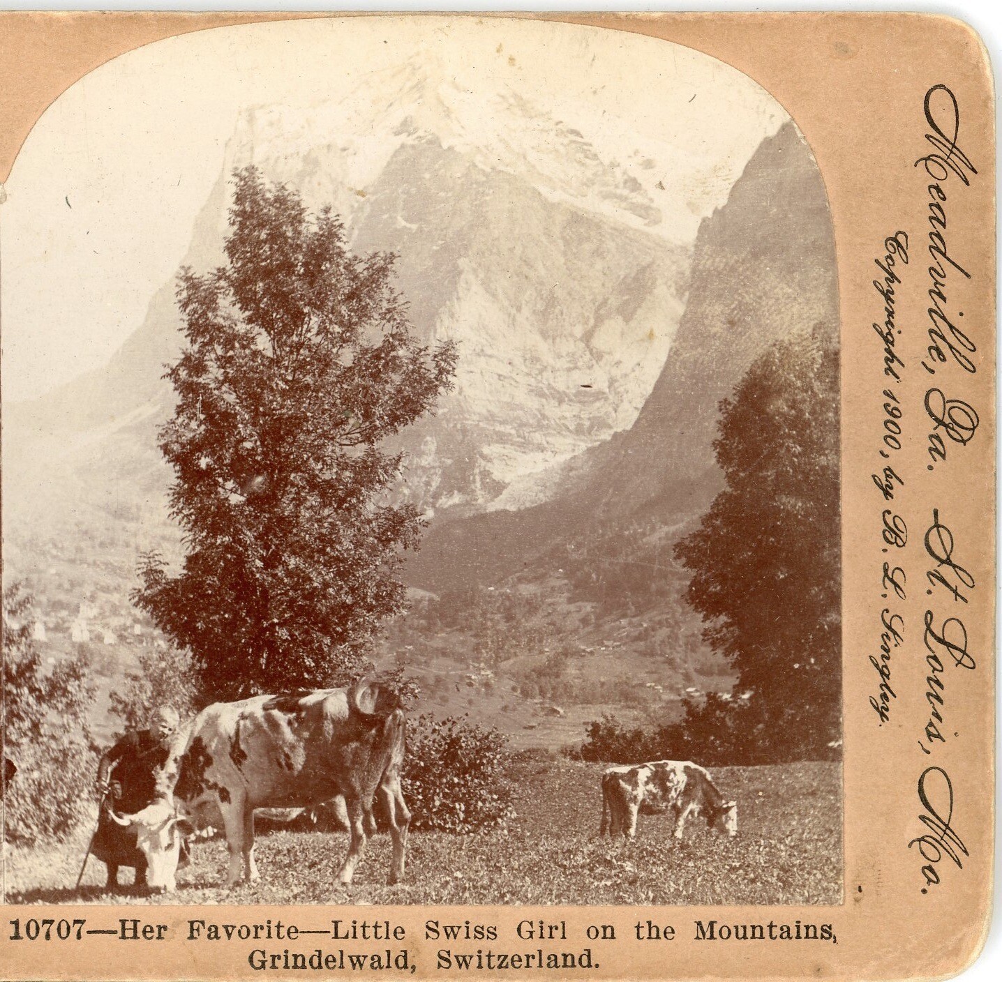 SWITZERLAND, Little Swiss Girl with Her Favorite Cow--Keystone Stereoview D75