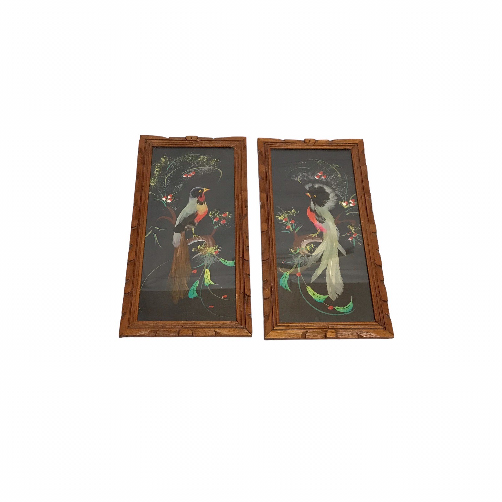 Vintage Pair Of 2 Feather Bird Folk Art Picture Carved Wood Frame - Mexican