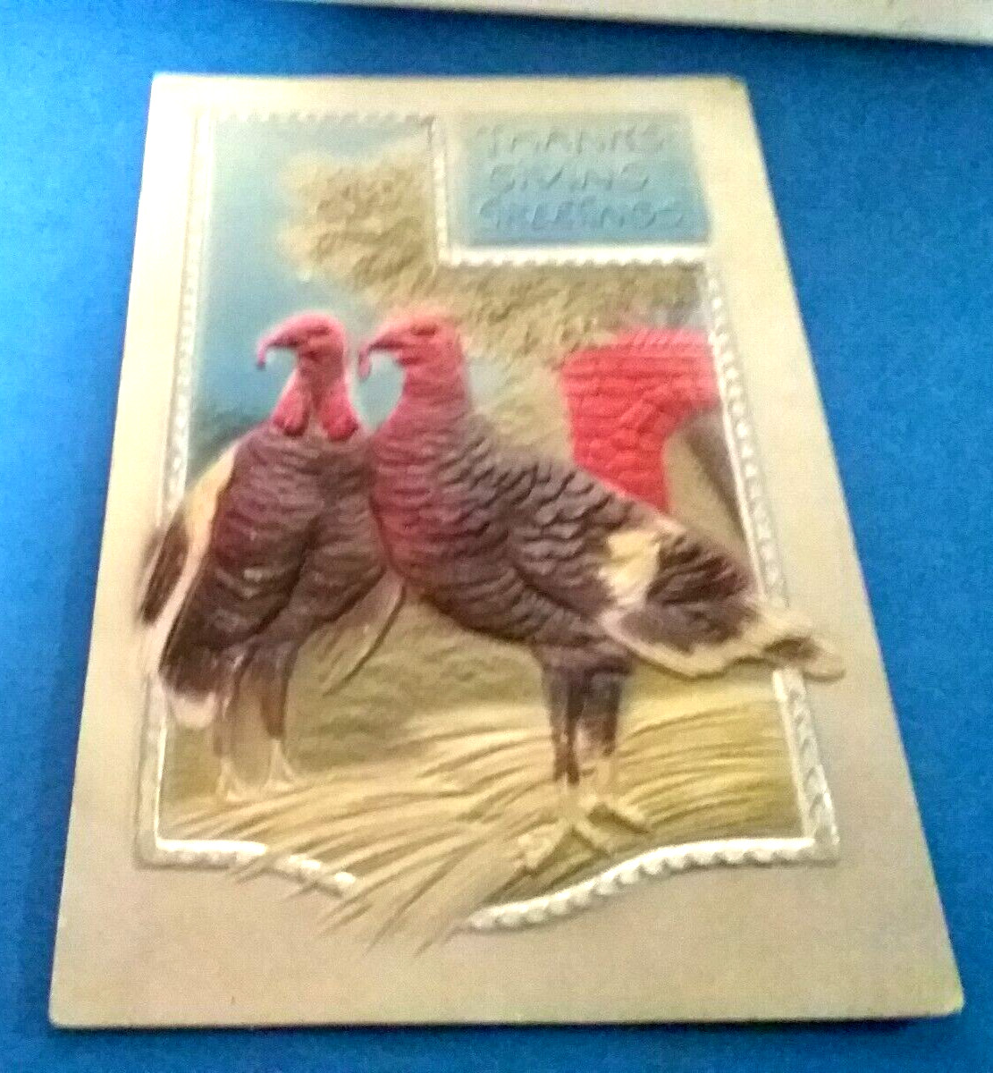 (pgasteelers1) Thanksgiving - Two large turkey's - Cancelled Nov 1908 No stamp🌠