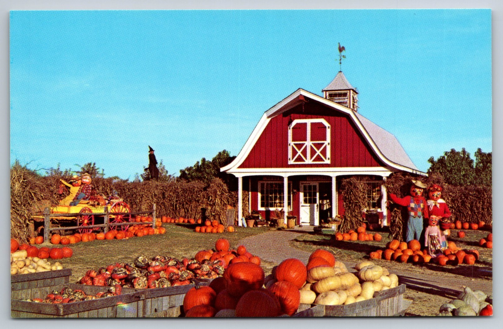 Woodcliff Lake New Jersey Van Riper\'s Farms Inc Chestnut Ridge Road Postcard NJ