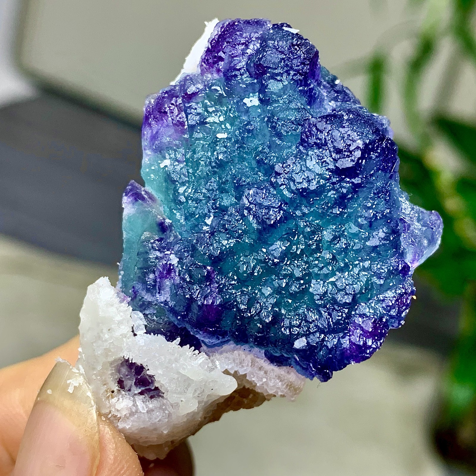 51G Natural fluorite blue purple dual color crystal mineral specimen, Zhejiang