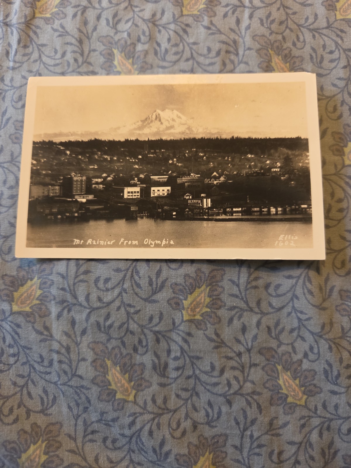 Rare scarce Mount Rainier From olympia. Vintage picture Postcard unused.