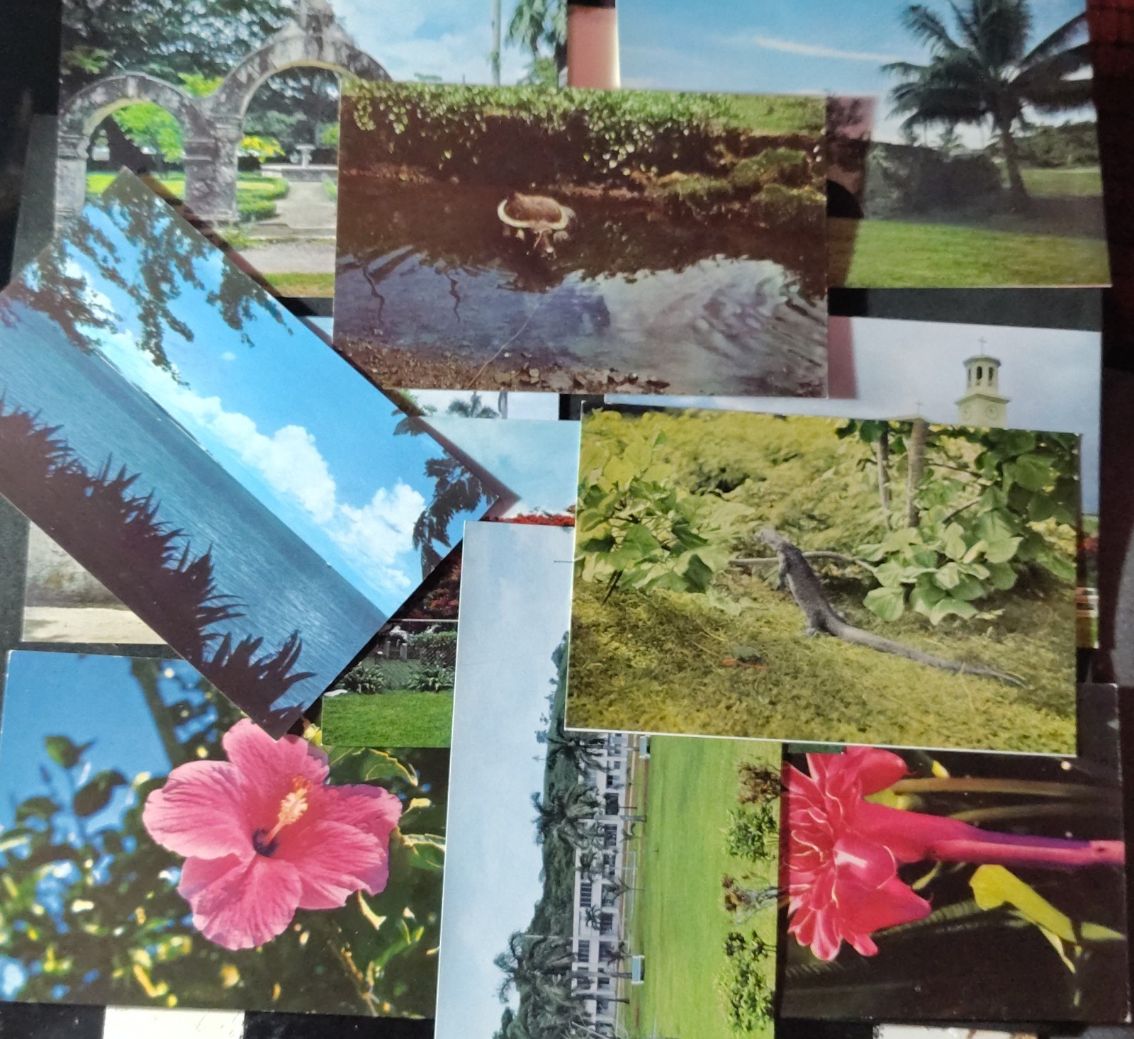 Vtg 1950s GUAM Postcards Lot of 11 Victor Olsen South Seas Trading Co Curteich