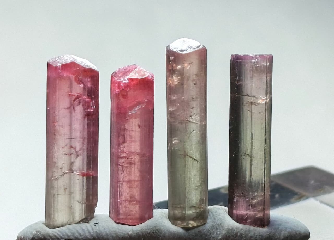 Bi colour terminated tourmaline crystals - 24 Carats