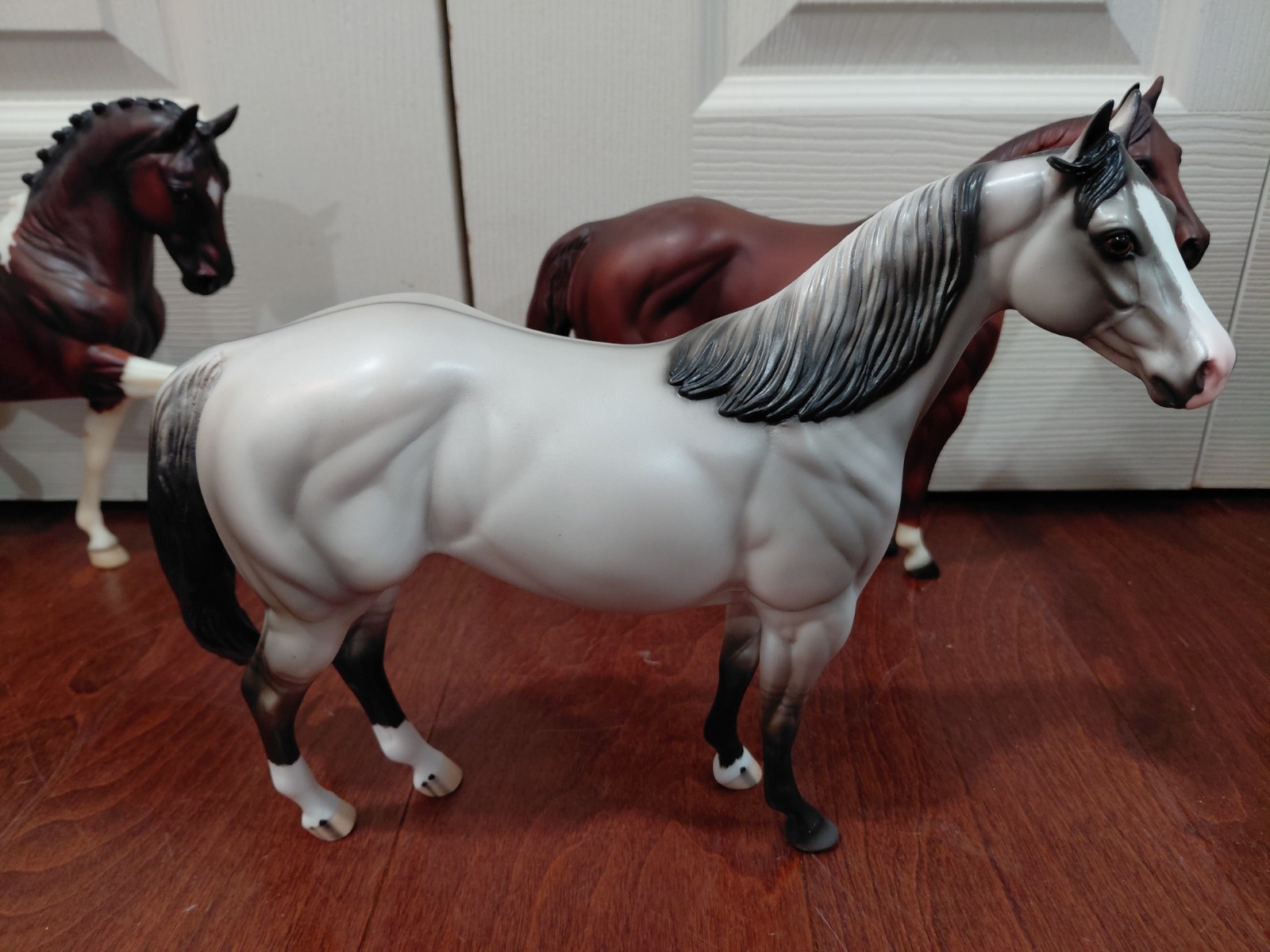 Peter Stone Ideal Stock Horse ISH Appaloosa Light Gray 