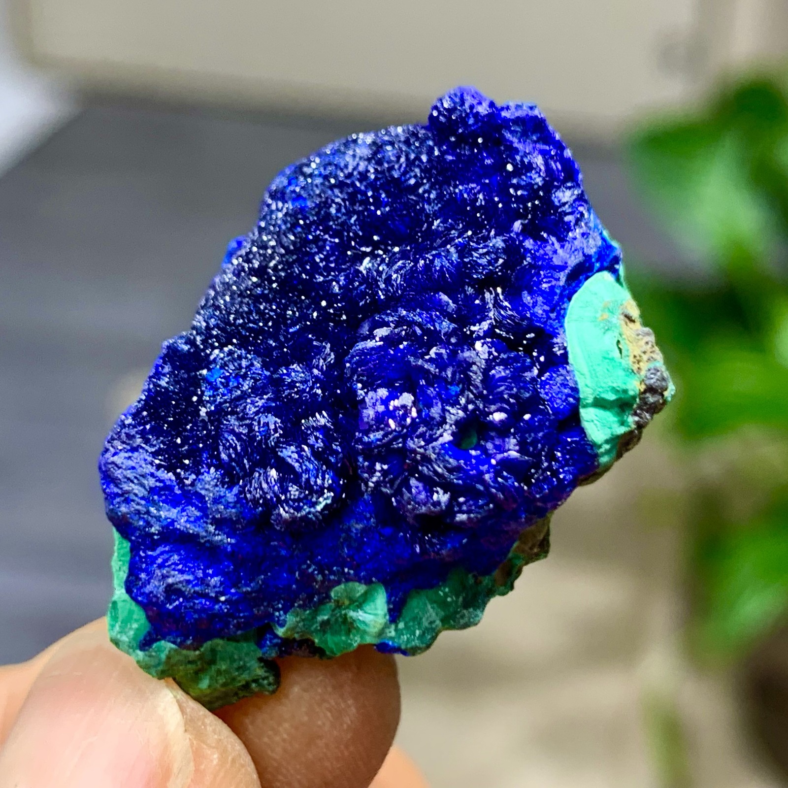 12G Best Natural Azurite/Malachite raw Crystal Mineral Specimen