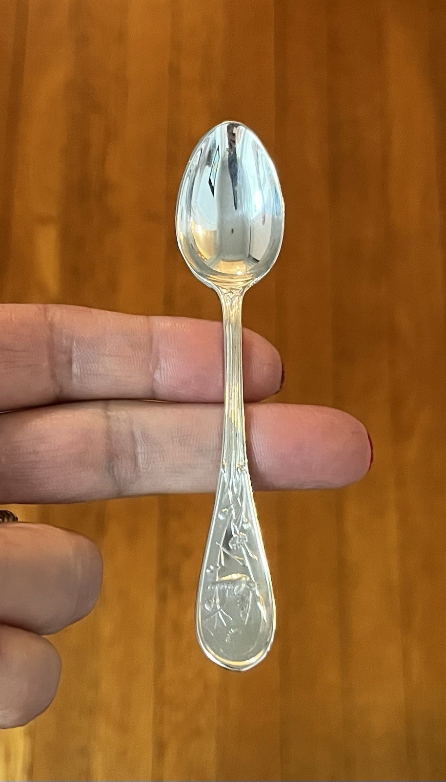 TIFFANY & CO Solid Sterling Silver Audubon 4 1/8 Inch Demitasse Spoon 34 g