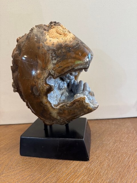 Canyon Rim Thunder Egg - Free Form Polished - Unique Tube Formation - Agate