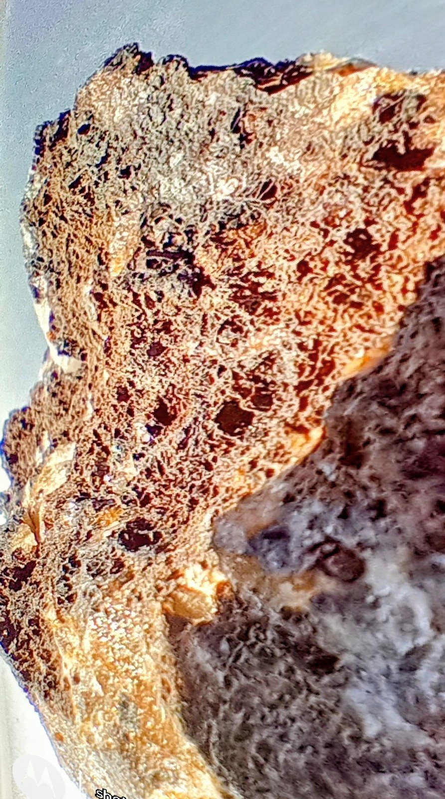 10 Lb High Grade California Gold Ore