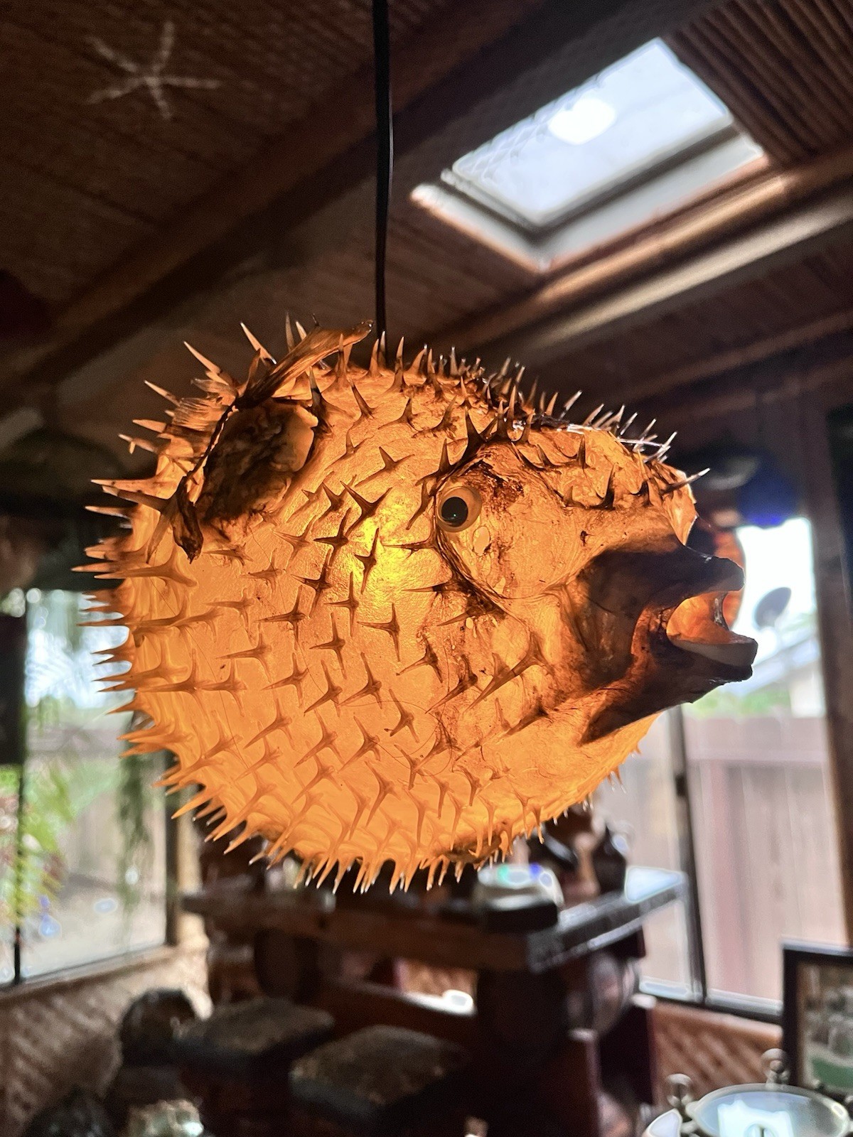 NEW 11”-12” Pufferfish Lamp w/yellow LED Tiki bar Smokin Tikis Oceanic
