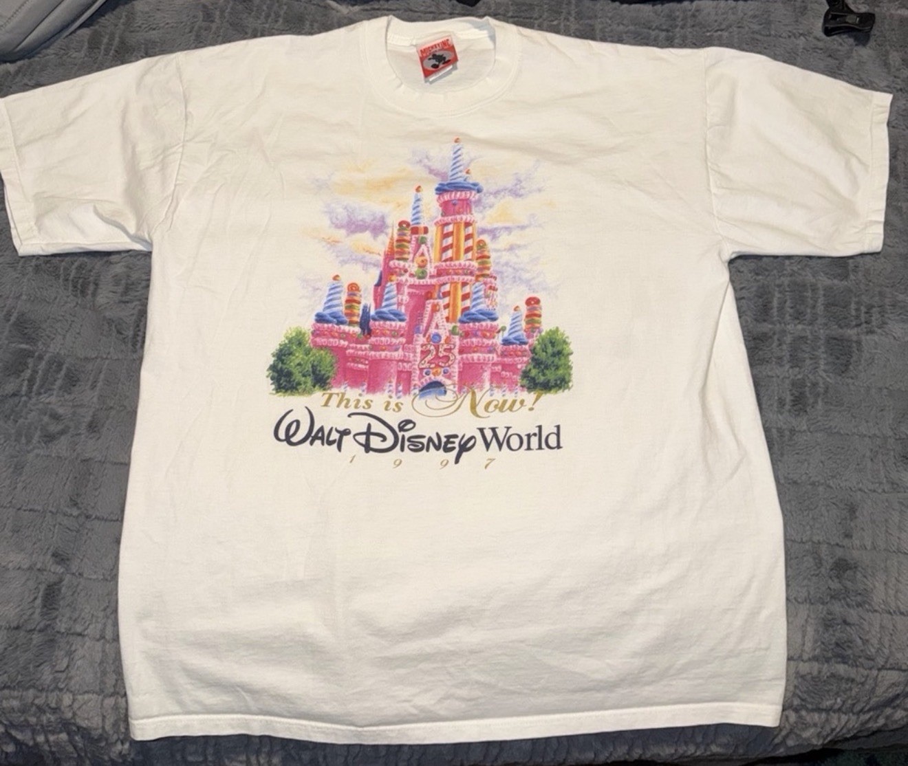 Vintage 1997 Walt Disney World 25th Anniversary 