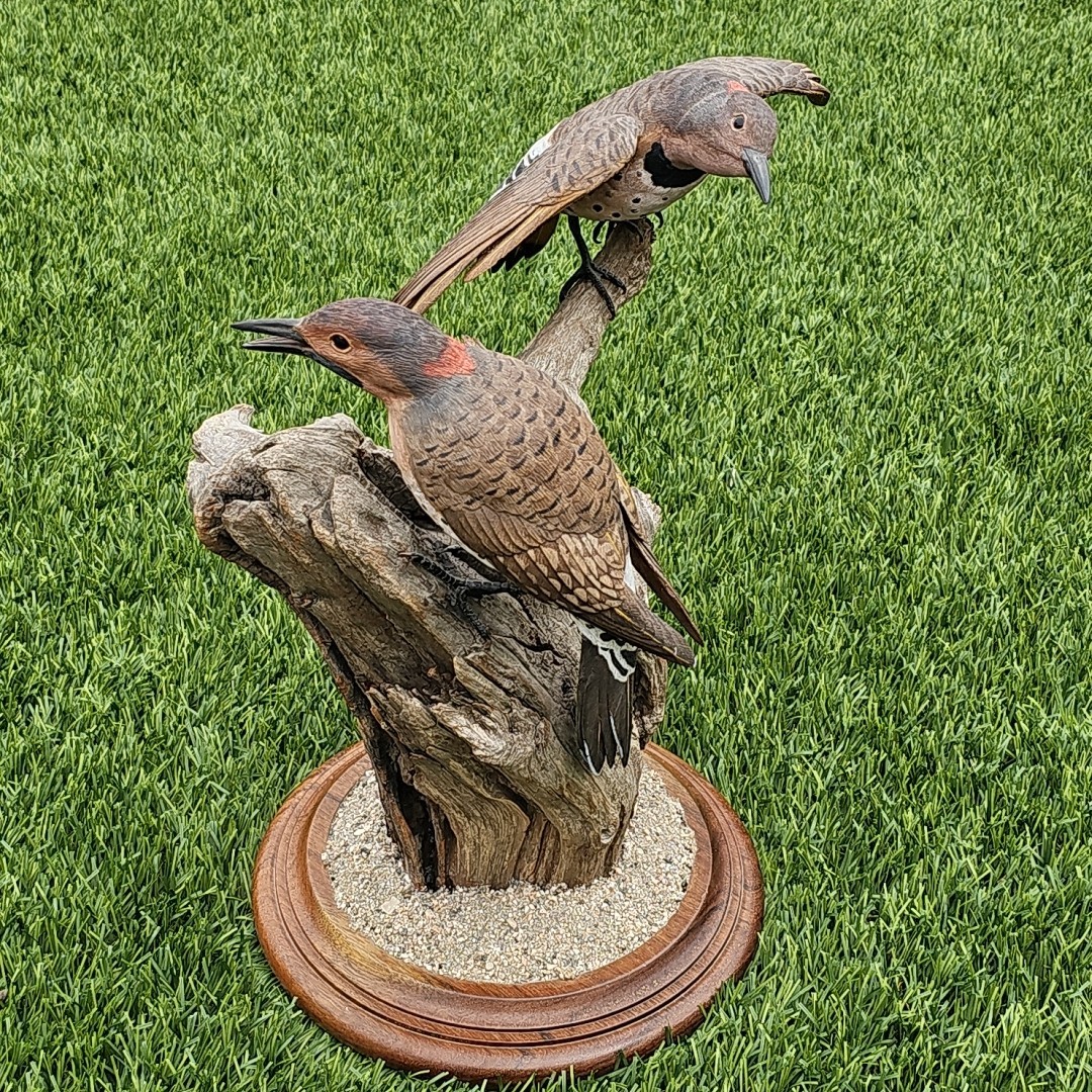 VTG Hand Carved WOOD 2 Northern Flicker Birds On Driftwood Mount Incredible Art 