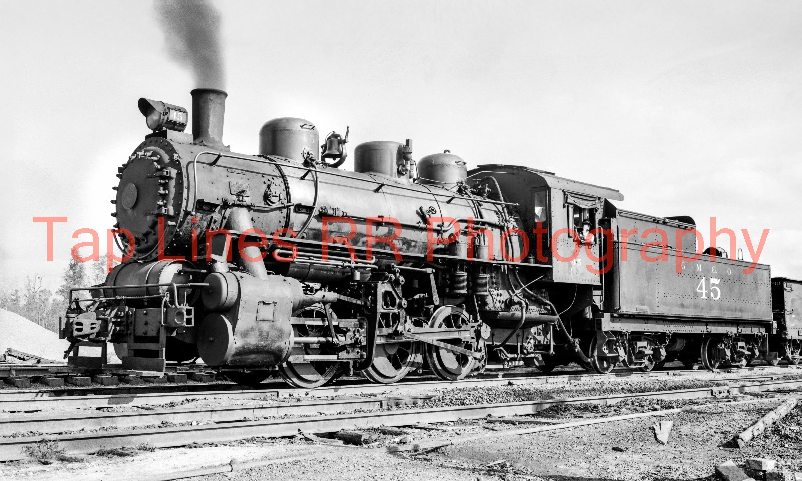 Louisiana Eastern 45 0-6-0 ex GM&O 45 Amite LA 11-8-1950 Bob Gray New 5x8 Photo