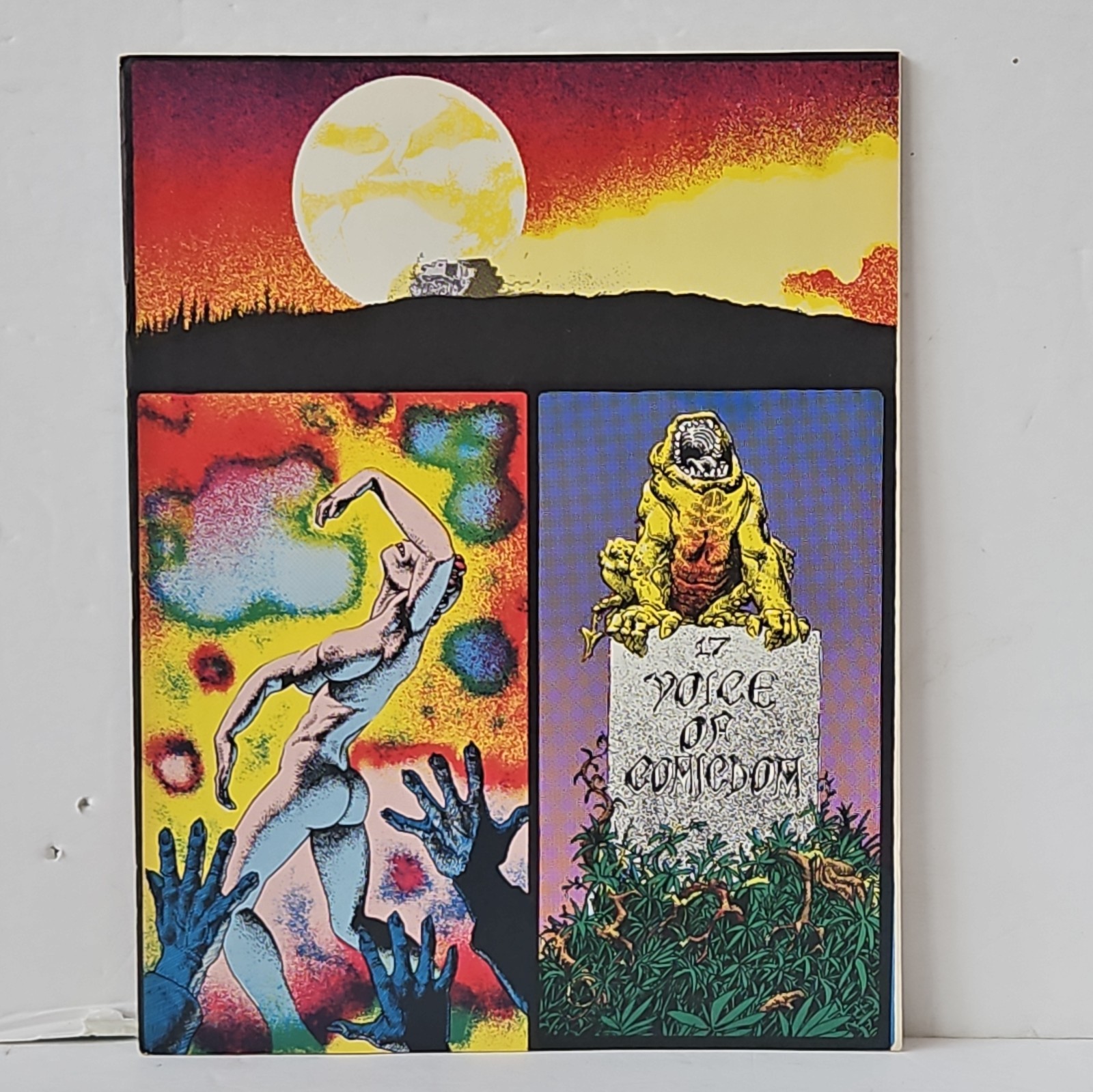 RARE, ORIGINAL 1971 VOICE OF COMICDOM #17, RICHARD CORBEN, ROWLF