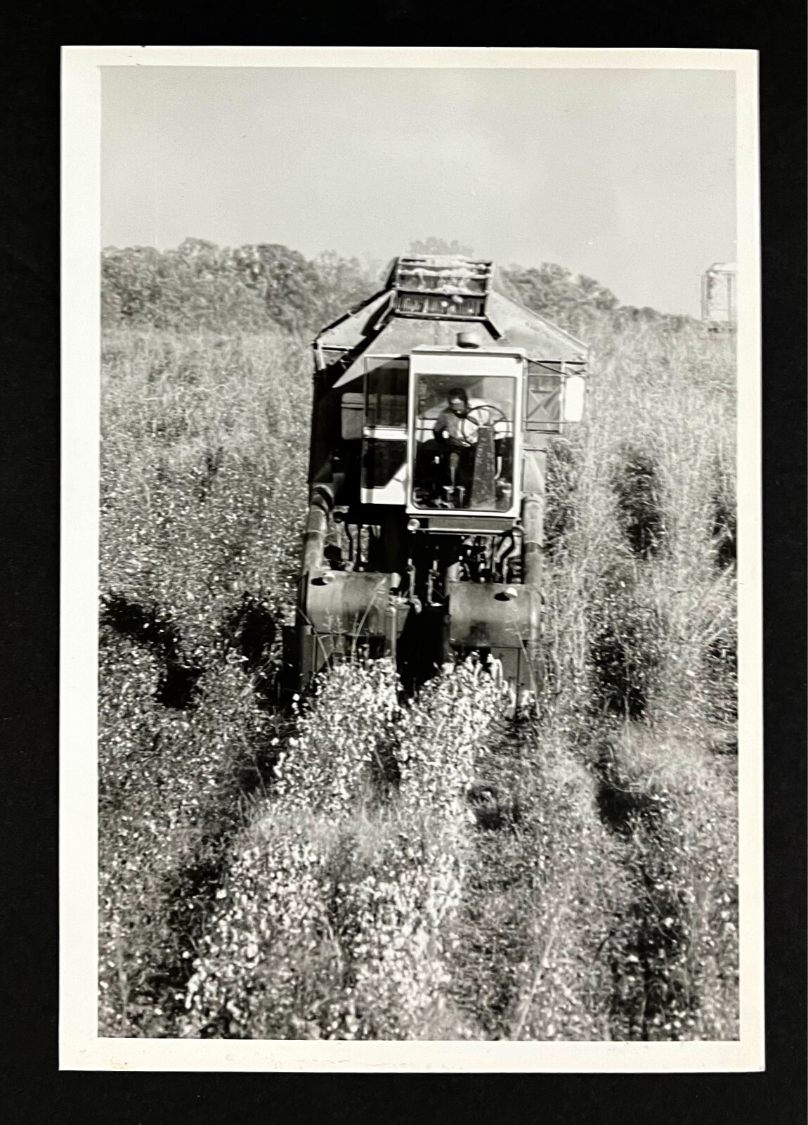 1990 North Carolina Cotton Farmer Picker Harvesting NC Vintage Press Photo