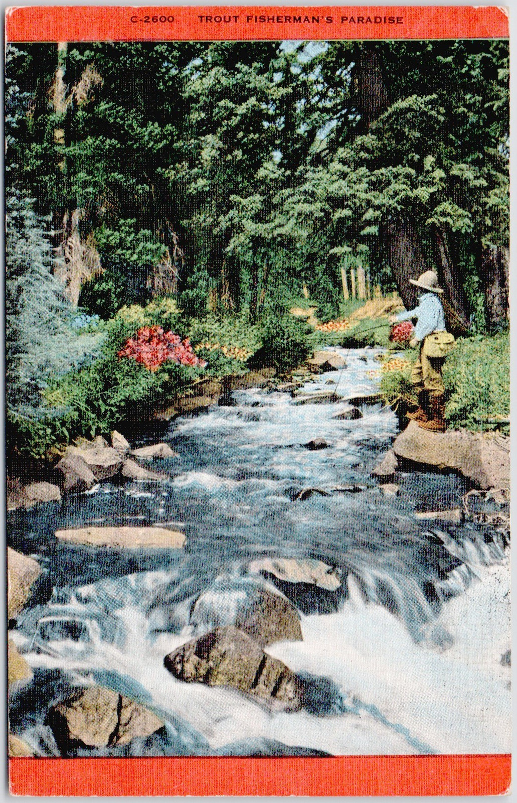 Trout Fisherman\'s Paradise Seattle WA Posted Vintage Postcard P-174