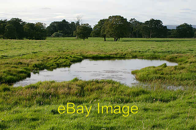 Photo 6x4 Watering Hole Balderstone\/SD6332 There were many small holes i c2007