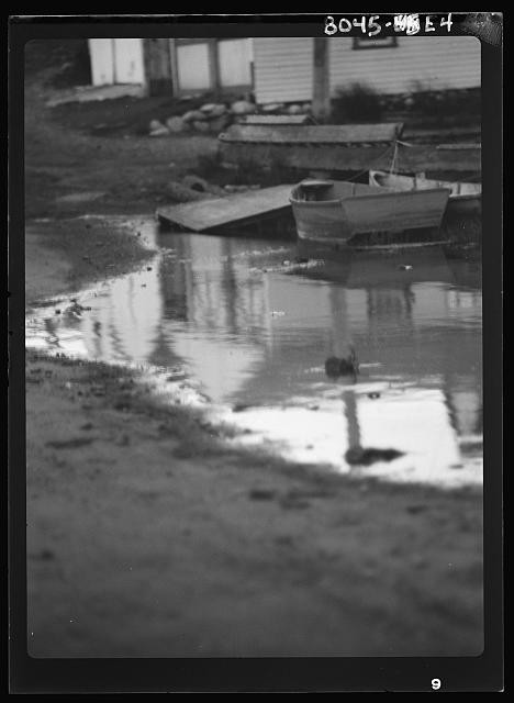 Photo:East Hampton New York 1900s Boats Ducks Waterfront Scene