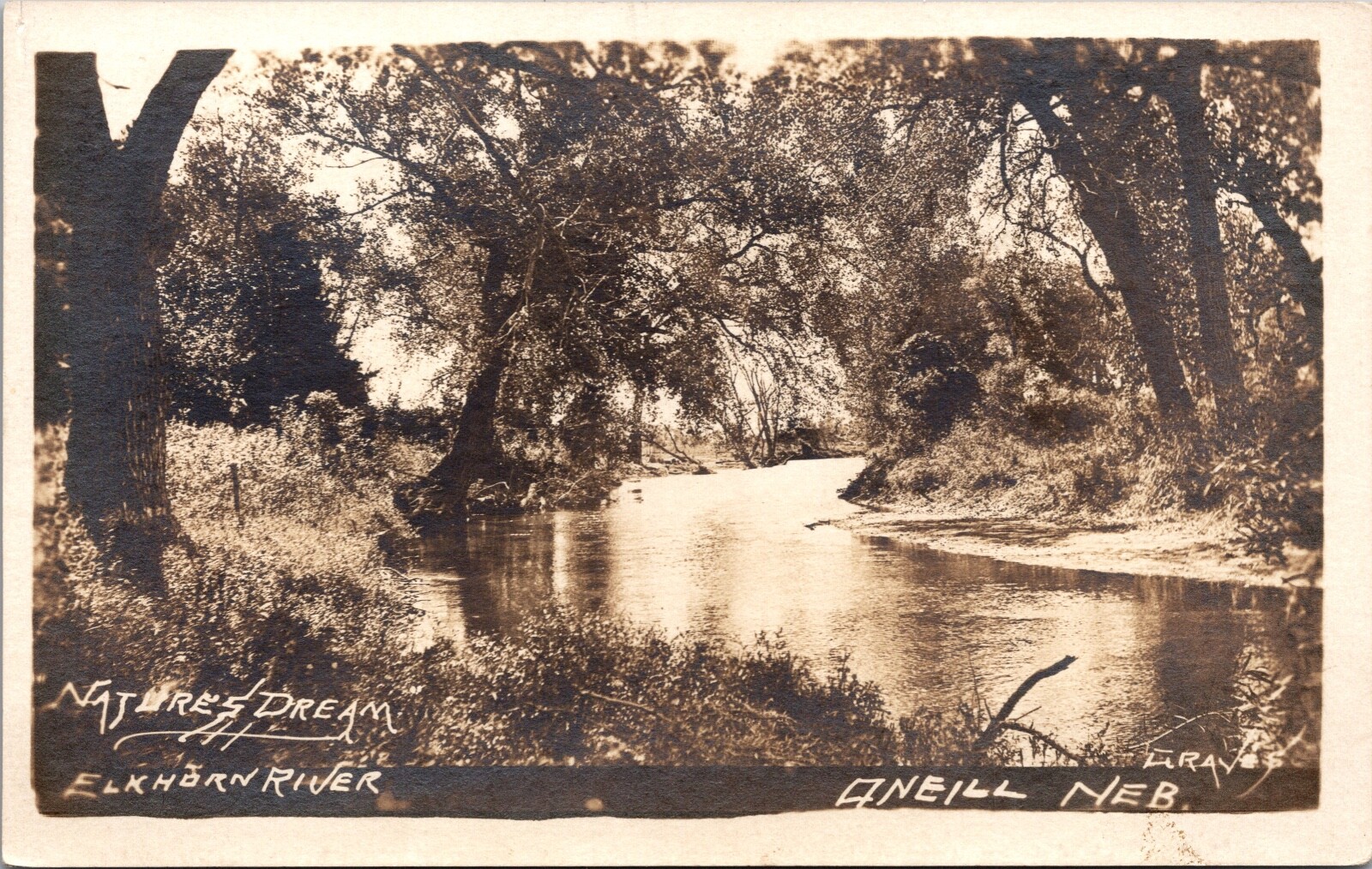 Real Photo Postcard Natures Dream Elkhorn River in O'Neill, Nebraska