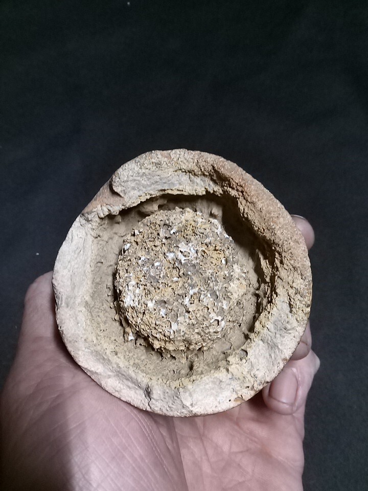 Fossilized Per mineralized Agate Crystal Dino Egg Embryo Baby