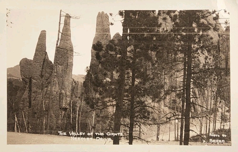 c1935 RPPC - The Valley Of The Giants - Needles Drive - South Dakota ~#-10249