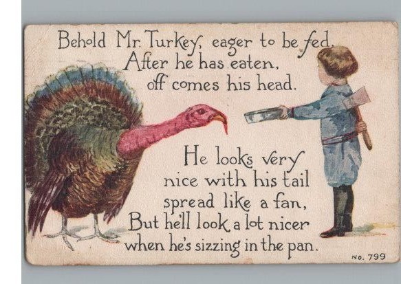 Behold Mr. Turkey & Boy w Poem No. 799 Vintage Postcard 1912