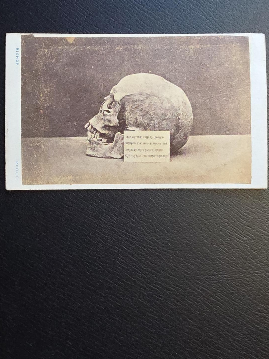 Antique CDV Photo Human Skull King Alfred the Great Hyde Abbey 1879 Victorian