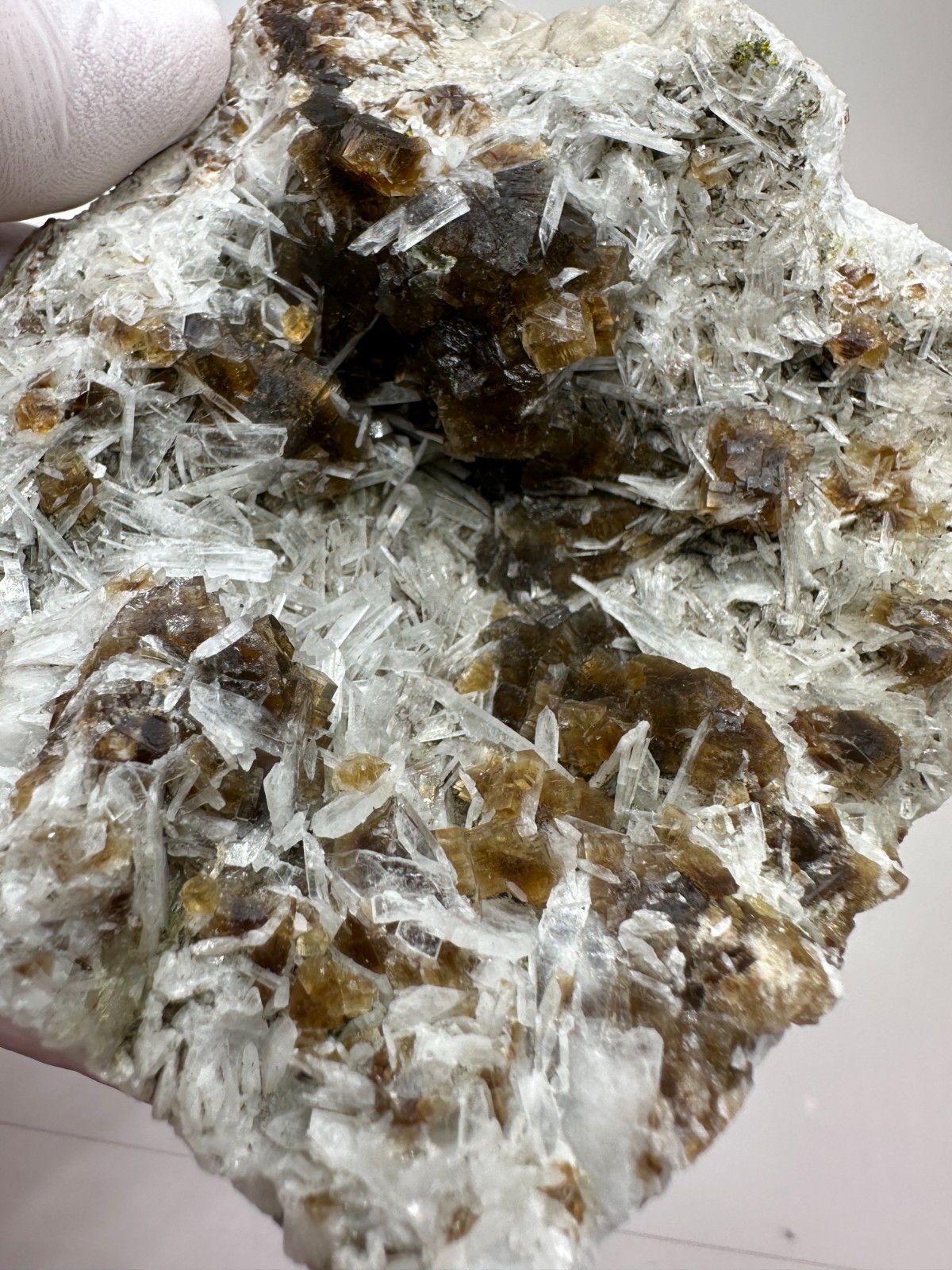 FLUORESCENT__Large Root beer Fluorite Specimen / Clay Center Ohio