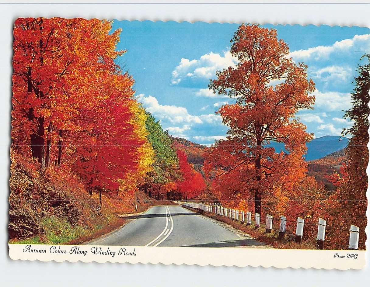 Postcard Autumn Colors Along Winding Roads