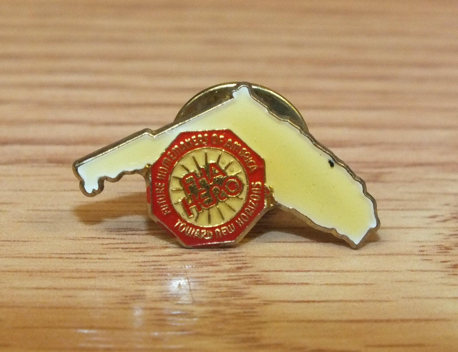 FHA Hero Florida Future Homemakers of America Toward New Horizons Lapel Pin
